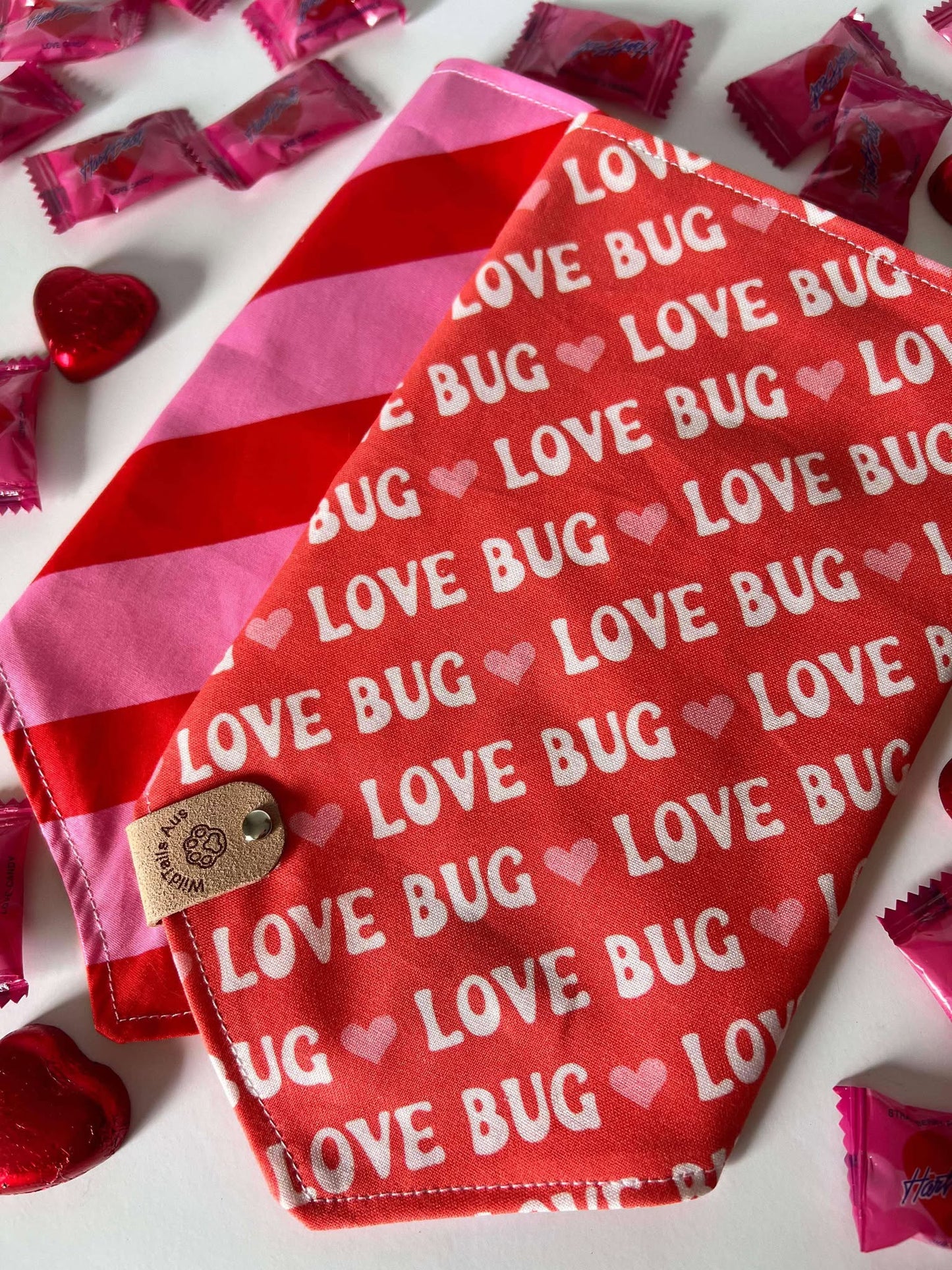 Love Bug | Valentines Day Pet Bandanna