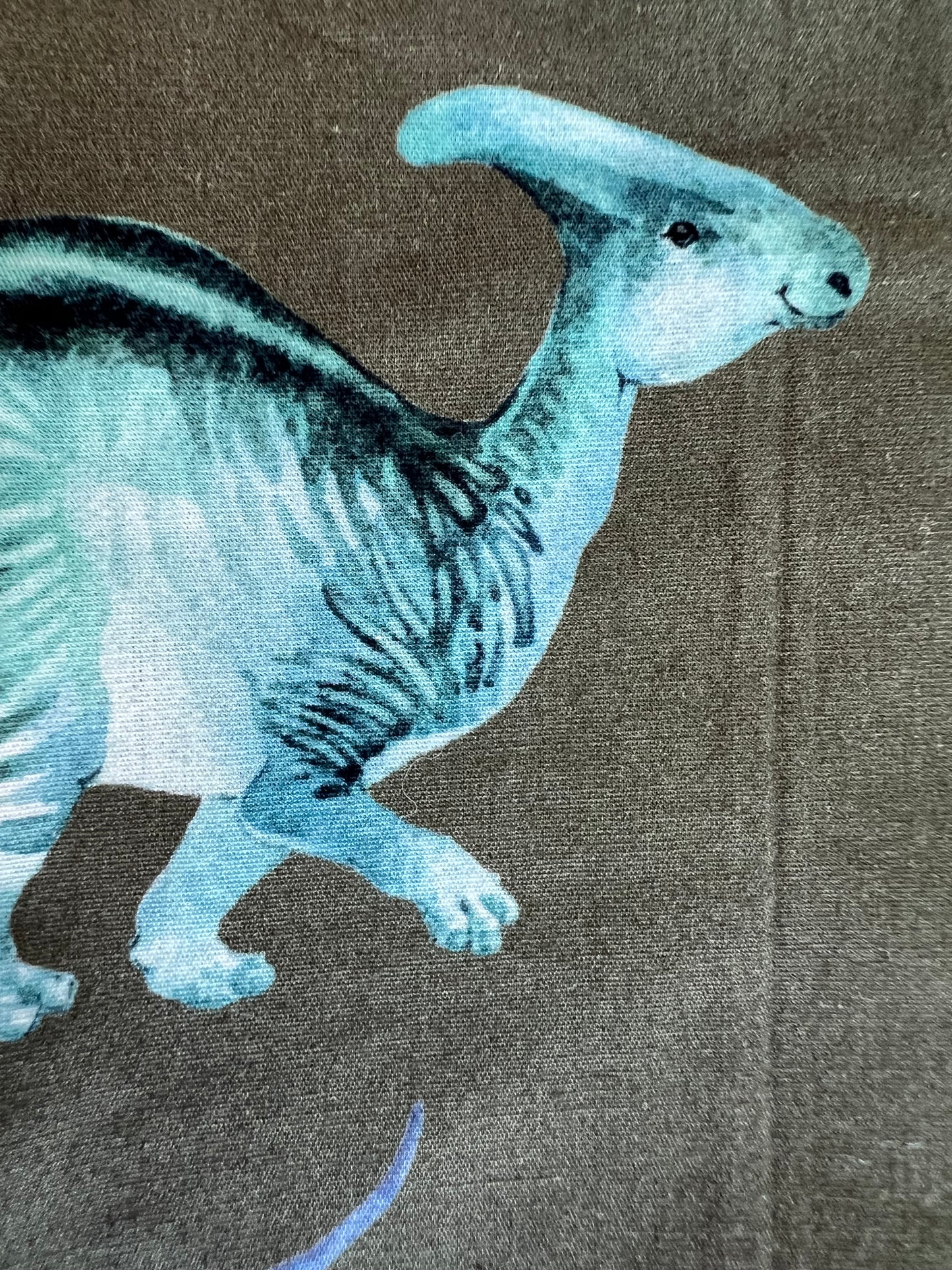 Dino March Pet bandanna