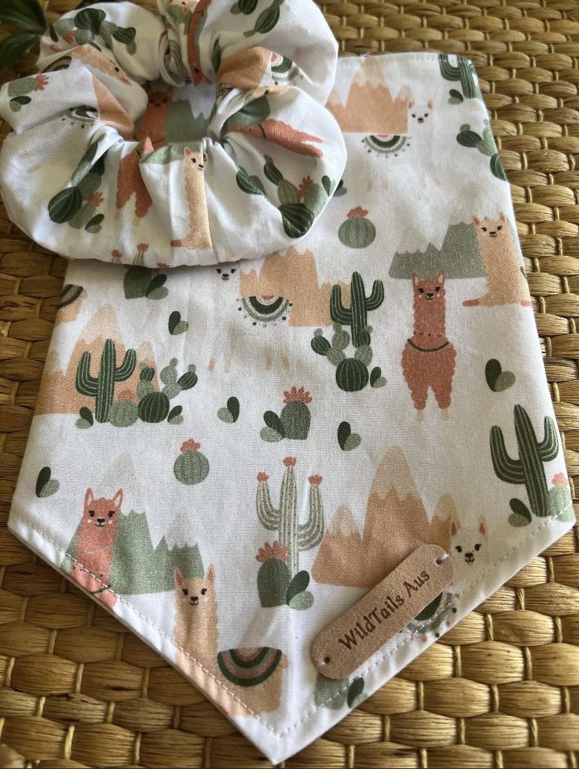 No Drama Llama Bandanna