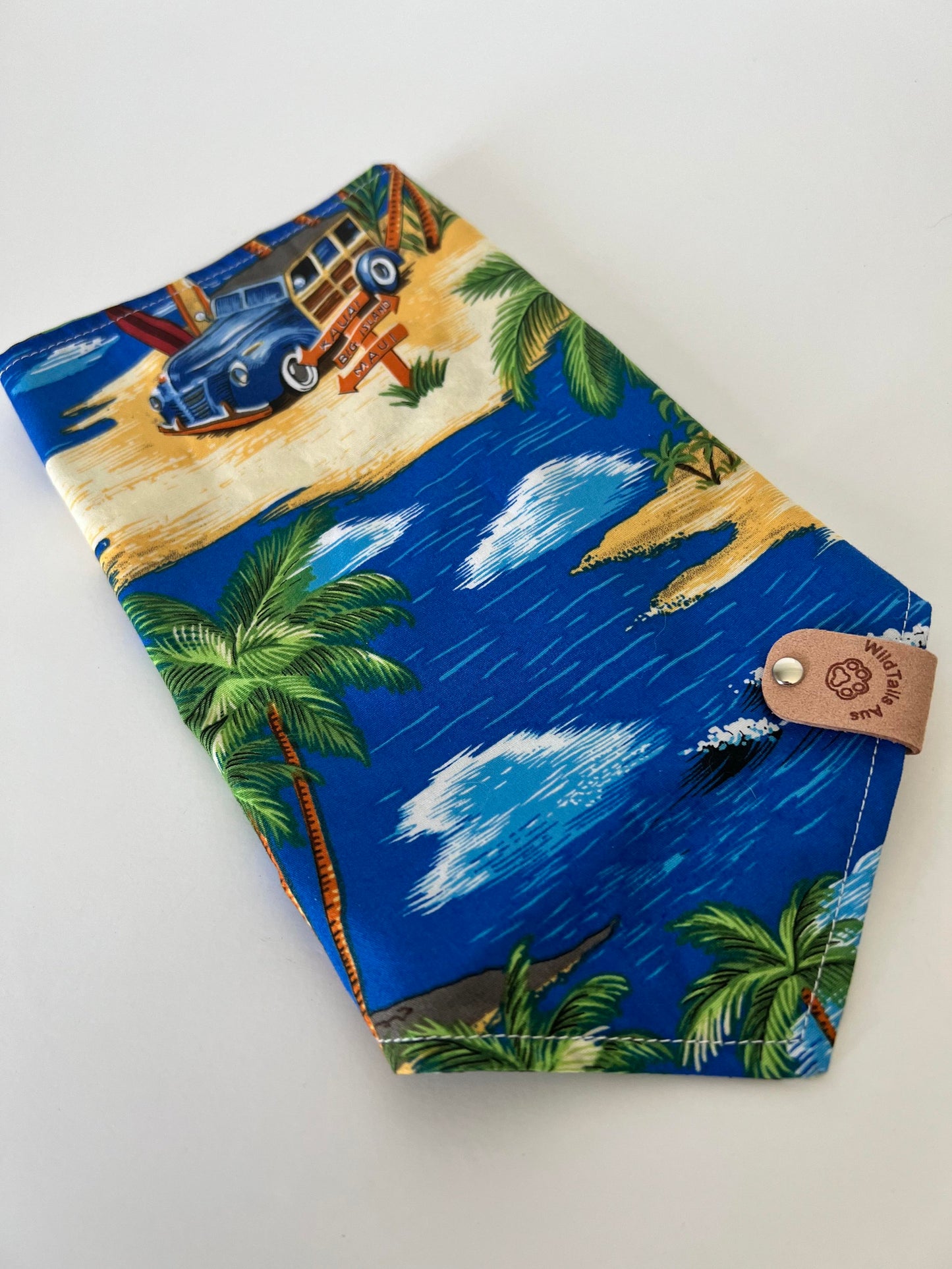 Point Break Pet Bandanna