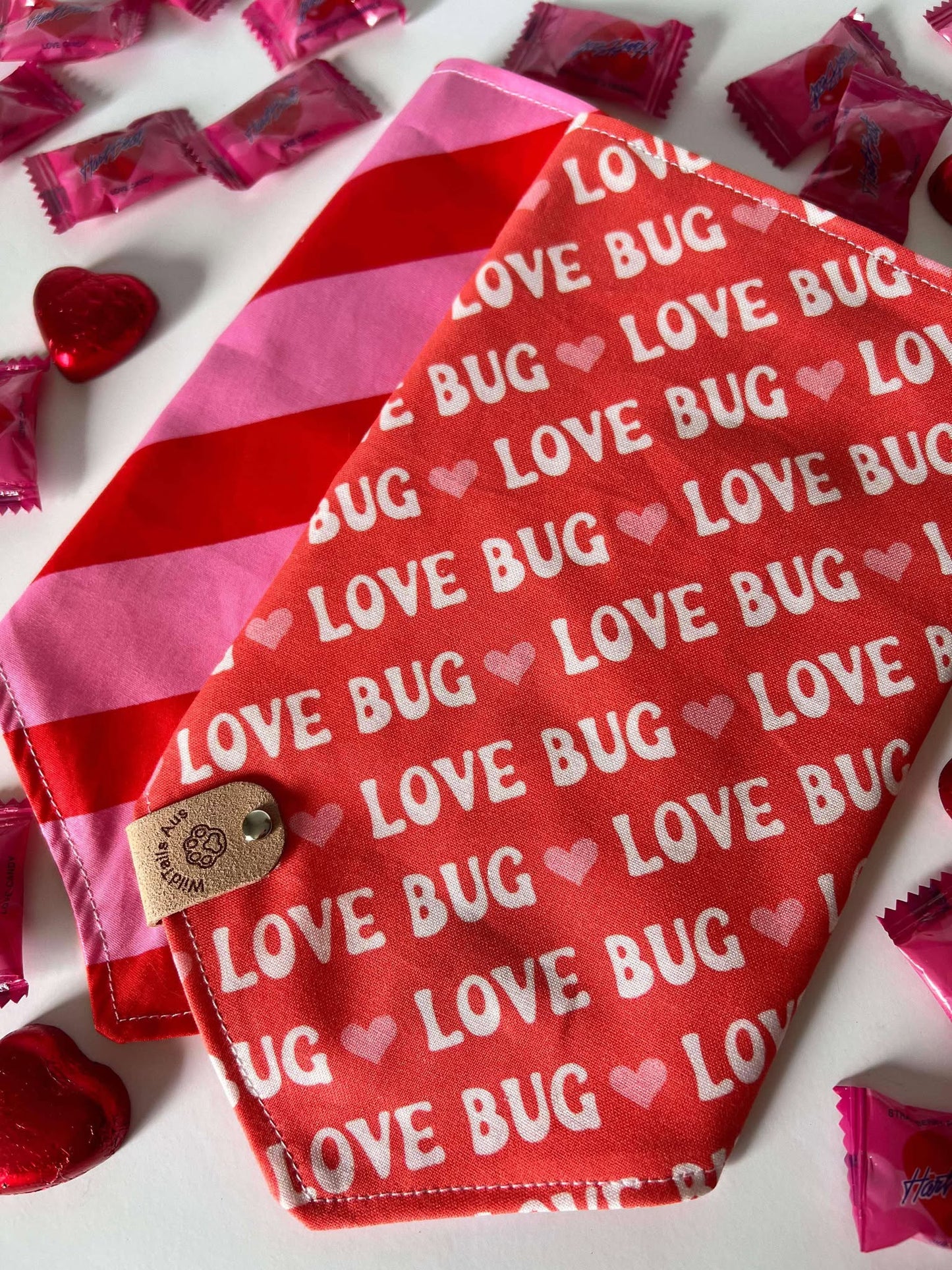 Love Bug | Valentines Day  Pet Bandanna