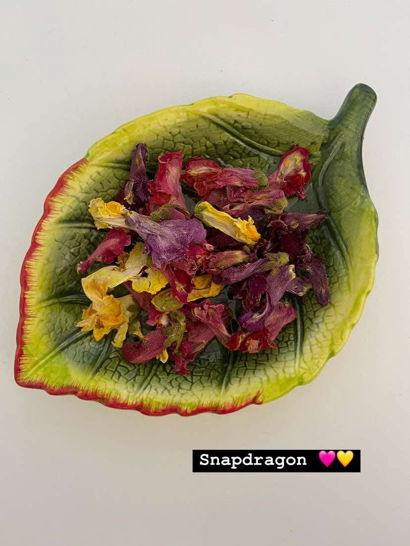 Snapdragon | Dried Edible Flowers