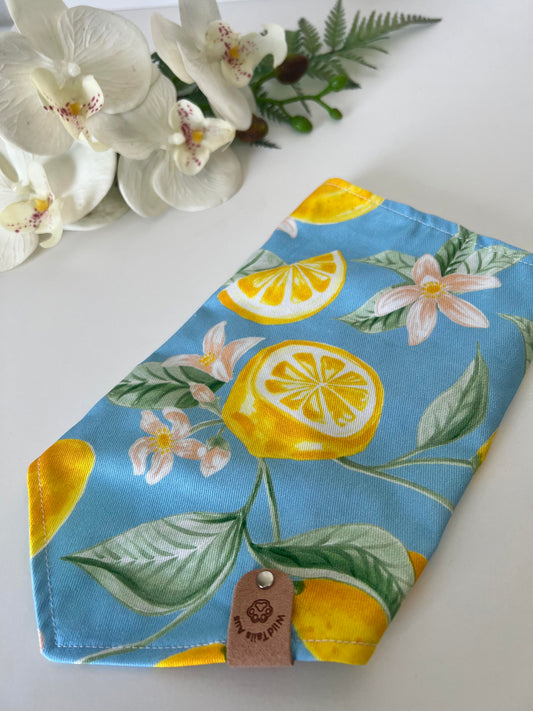 Dope Lemon Sherbert Pet Bandanna