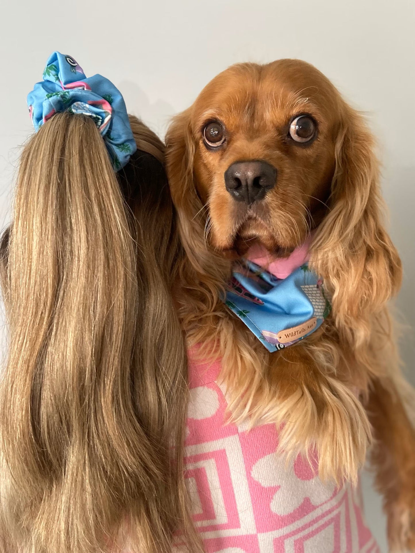 Mid Century Dreams Pet Bandanna