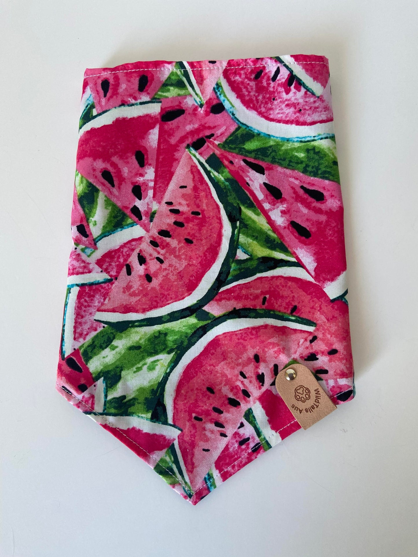 Watermelon Sugar Pet Bandanna