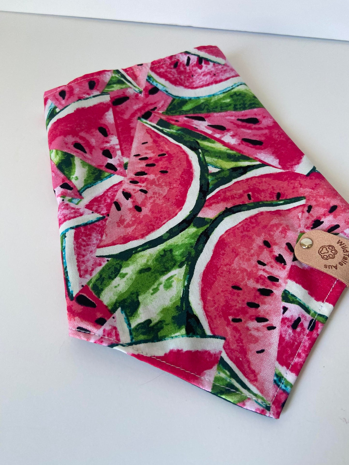 Watermelon Sugar Pet Bandanna